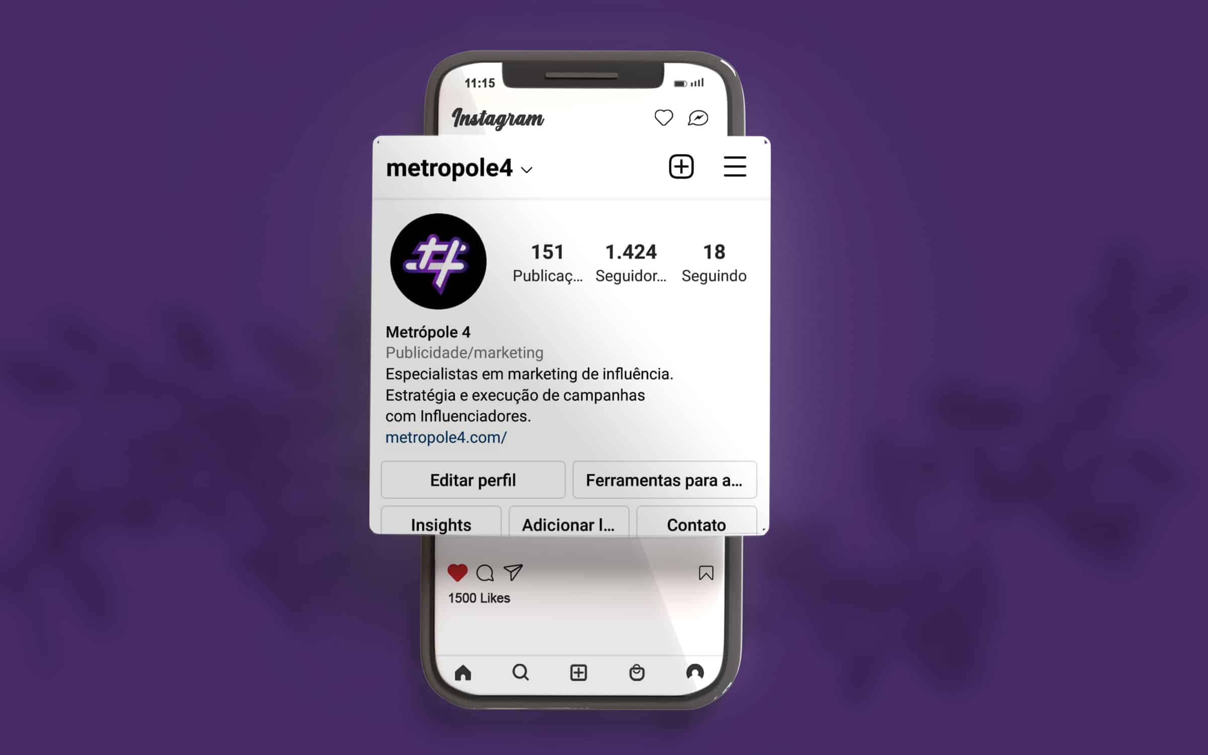 Principais indicadores de resultados em marketing de influ&ecirc;ncia: Imagem de tela do instagram com as n&uacute;mero de seguidores