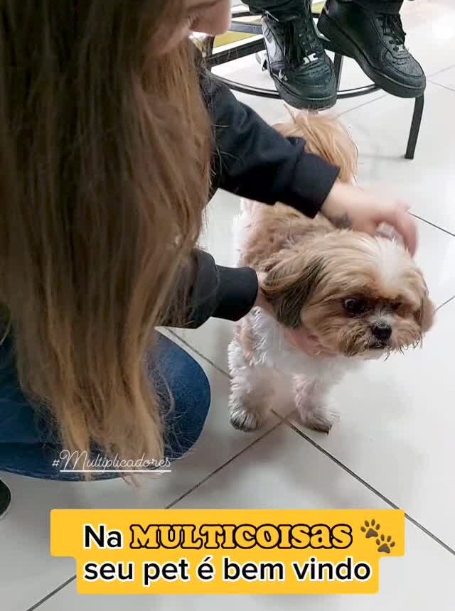 campanha_multicoisas_20